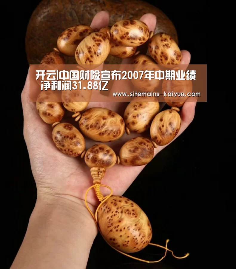 开云|中国财险宣布2007年中期业绩 净利润31.88亿(图3) Kaiyun官网入口 - 首页通道