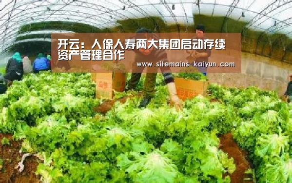 Kaiyun官网入口 - 首页通道