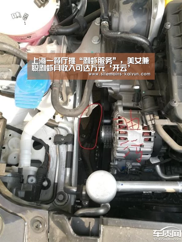 上海一餐厅推“剥虾服务”,美女兼职剥虾月收入可达万元‘开云’(图2) 开云