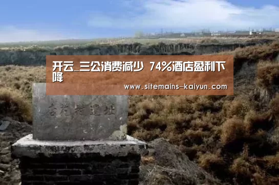 开云_三公消费减少 74%酒店盈利下降(图1) 开云