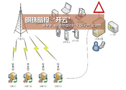 明珠暗投‘开云’(图2) 开云