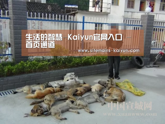 生活的智慧-Kaiyun官网入口 - 首页通道(图4) 开云